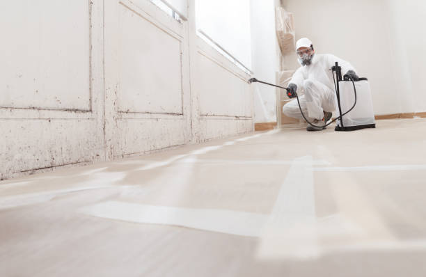 24/7 Emergency Mold Remediation experts in Fox Island, WA