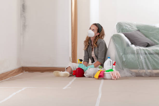 Reliable Mold Remediation contractor in Fox Island, WA by 24 Hour Mold Removal
