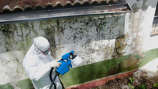 Top rated local Mold Remediation specialists in Fox Island, WA